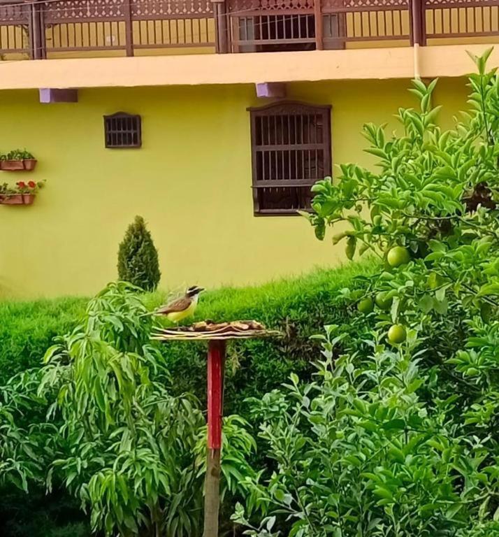 חרדין Bird House - Apartament מראה חיצוני תמונה